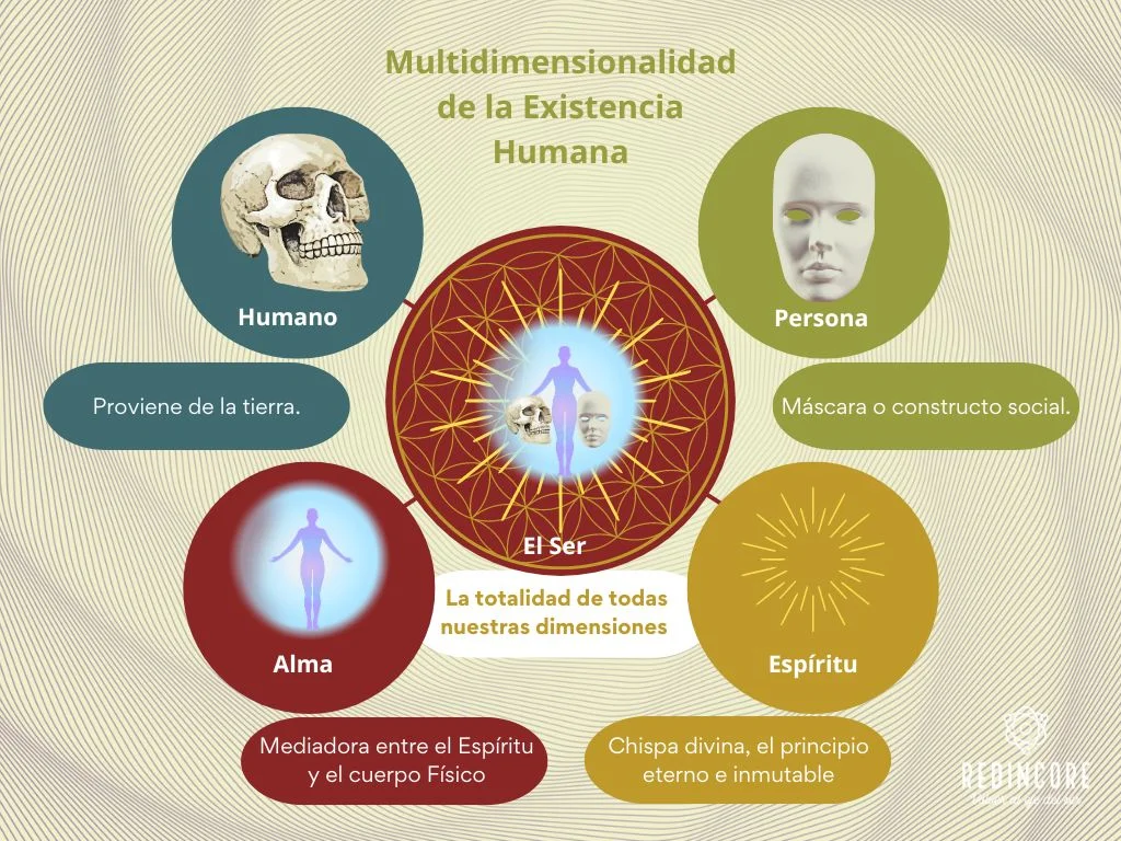 Resumen conceptual T2